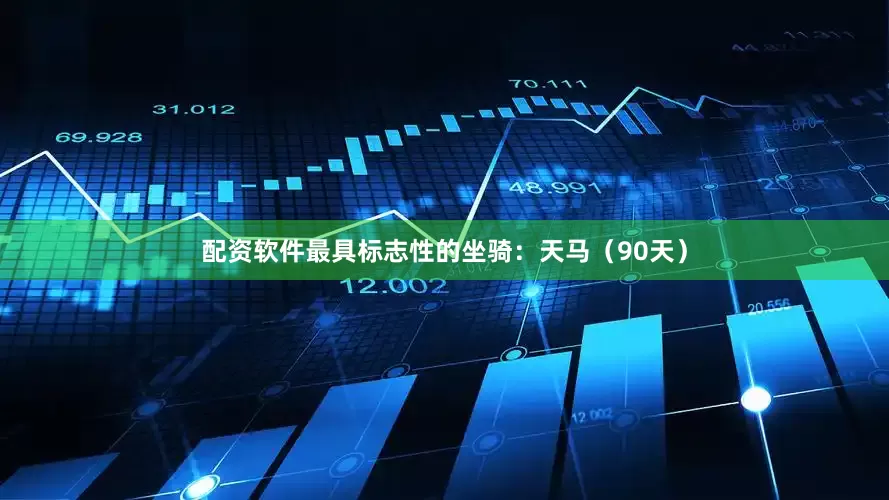 配资软件最具标志性的坐骑：天马（90天）