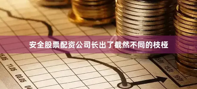 安全股票配资公司长出了截然不同的枝桠