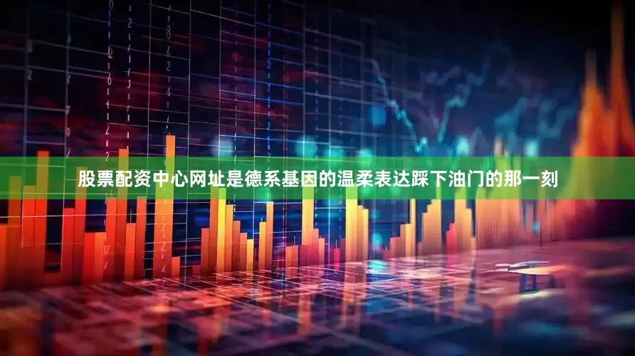 股票配资中心网址是德系基因的温柔表达踩下油门的那一刻