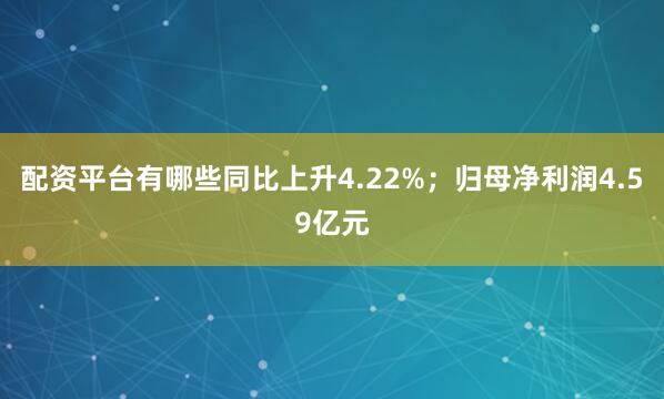 配资平台有哪些同比上升4.22%；归母净利润4.59亿元